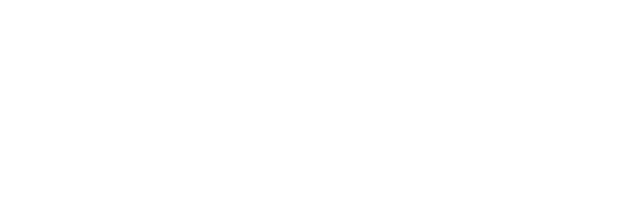 SynStick